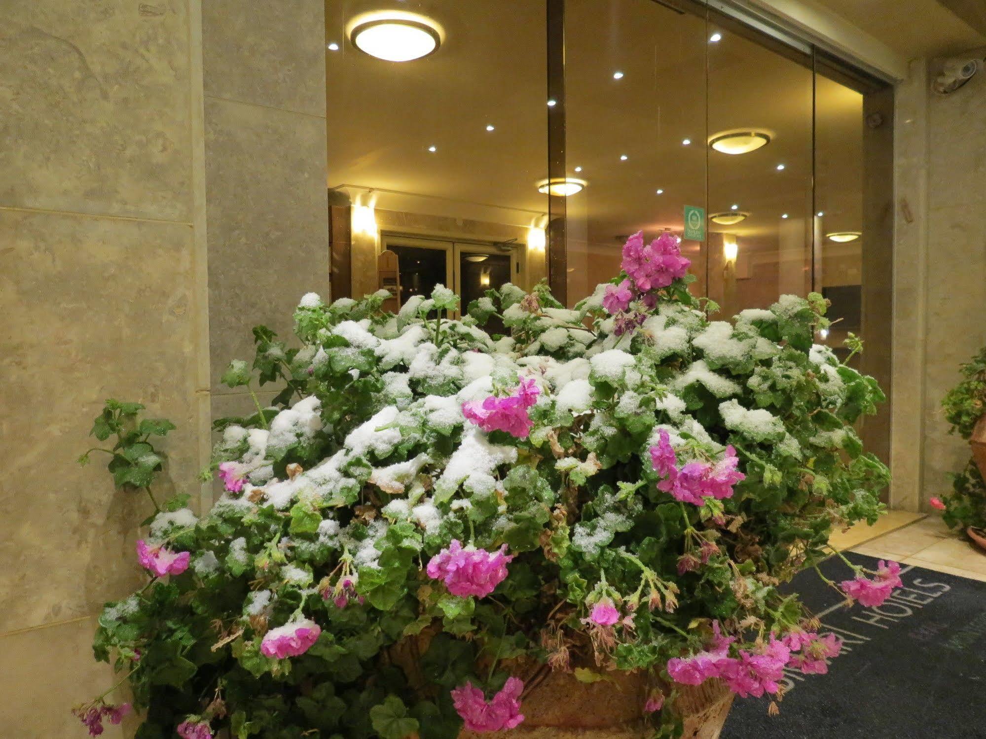 Ramon Suites By Smart Hotels Mitzpe Ramon Exteriör bild